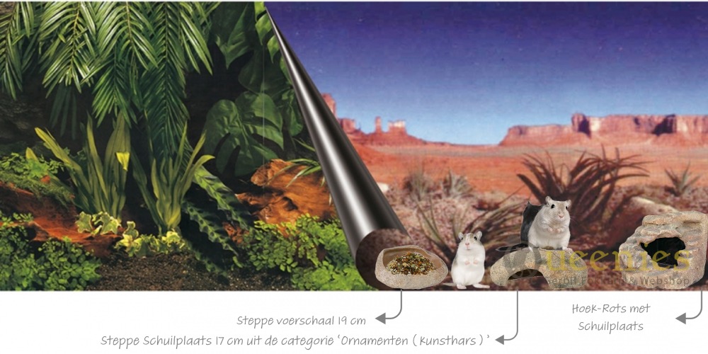 Steppe woestijn achterwand voor terrarium / Gerbilarium